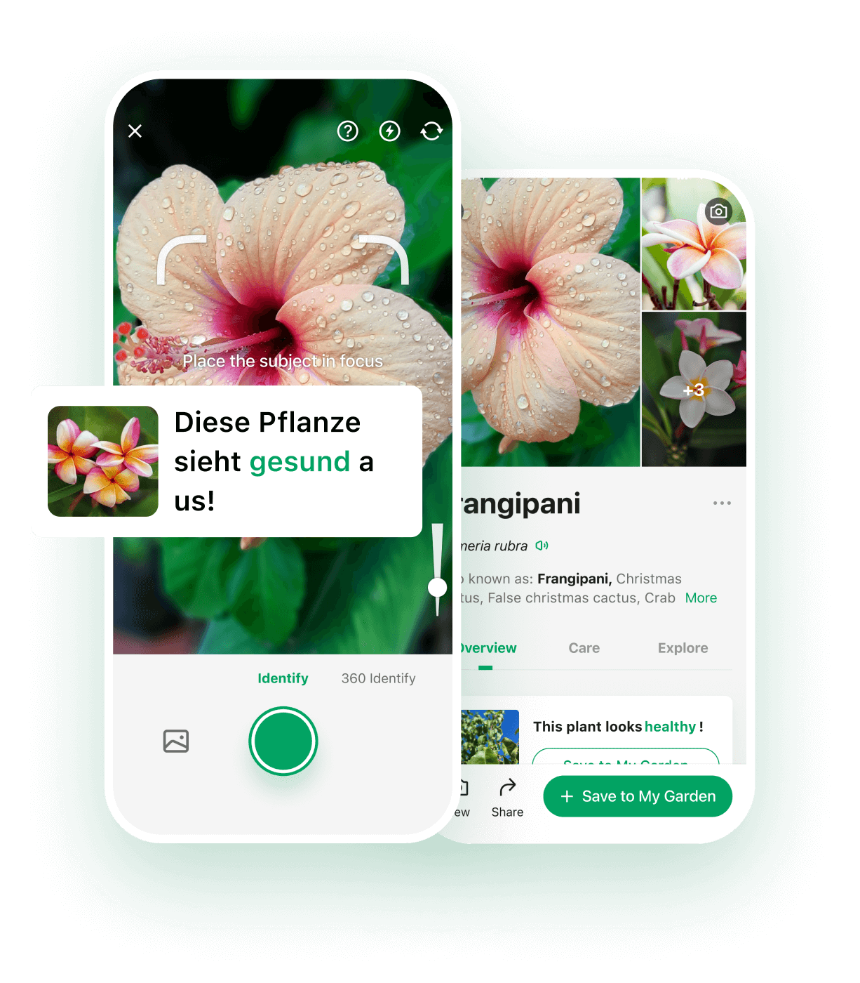 Интерфейс PictureThis: распознавание цветка по фотографии
